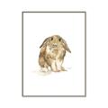 Picture of Shy Bunnies _GroupedProduct_Rectangle_Portrait_Mini_ _GroupedProduct_Rectangle_Portrait_Canvas_Framed_