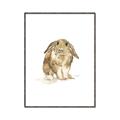 Picture of Shy Bunnies _GroupedProduct_Rectangle_Portrait_Mini_ _GroupedProduct_Rectangle_Portrait_Canvas_Framed_