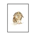 Picture of Shy Bunnies _GroupedProduct_Rectangle_Portrait_Mini_ _GroupedProduct_Rectangle_Portrait_Canvas_Framed_