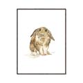 Picture of Shy Bunnies _GroupedProduct_Rectangle_Portrait_Mini_ _GroupedProduct_Rectangle_Portrait_Canvas_Framed_