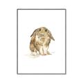 Picture of Shy Bunnies _GroupedProduct_Rectangle_Portrait_Mini_ _GroupedProduct_Rectangle_Portrait_Canvas_Framed_
