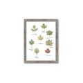 Picture of Leaves Chart _GroupedProduct_Rectangle_Portrait_Mini_ _GroupedProduct_Rectangle_Portrait_Framed_Matted_