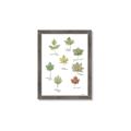 Picture of Leaves Chart _GroupedProduct_Rectangle_Portrait_Mini_ _GroupedProduct_Rectangle_Portrait_Framed_Matted_