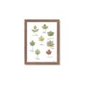 Picture of Leaves Chart _GroupedProduct_Rectangle_Portrait_Mini_ _GroupedProduct_Rectangle_Portrait_Framed_Matted_