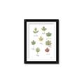 Picture of Leaves Chart _GroupedProduct_Rectangle_Portrait_Mini_ _GroupedProduct_Rectangle_Portrait_Framed_Matted_