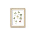 Picture of Leaves Chart _GroupedProduct_Rectangle_Portrait_Mini_ _GroupedProduct_Rectangle_Portrait_Framed_Matted_