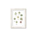 Picture of Leaves Chart _GroupedProduct_Rectangle_Portrait_Mini_ _GroupedProduct_Rectangle_Portrait_Framed_Matted_
