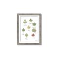 Picture of Leaves Chart _GroupedProduct_Rectangle_Portrait_Mini_ _GroupedProduct_Rectangle_Portrait_Framed_Matted_