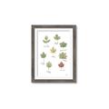 Picture of Leaves Chart _GroupedProduct_Rectangle_Portrait_Mini_ _GroupedProduct_Rectangle_Portrait_Framed_Matted_
