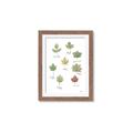 Picture of Leaves Chart _GroupedProduct_Rectangle_Portrait_Mini_ _GroupedProduct_Rectangle_Portrait_Framed_Matted_