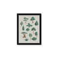Picture of Trees Chart _GroupedProduct_Rectangle_Portrait_Mini_ _GroupedProduct_Rectangle_Portrait_Framed_Matted_