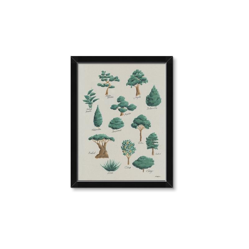 Picture of Trees Chart _GroupedProduct_Rectangle_Portrait_Mini_ _GroupedProduct_Rectangle_Portrait_Framed_Matted_