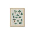 Picture of Trees Chart _GroupedProduct_Rectangle_Portrait_Mini_ _GroupedProduct_Rectangle_Portrait_Framed_Matted_