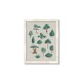 Picture of Trees Chart _GroupedProduct_Rectangle_Portrait_Mini_ _GroupedProduct_Rectangle_Portrait_Framed_Matted_