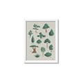Picture of Trees Chart _GroupedProduct_Rectangle_Portrait_Mini_ _GroupedProduct_Rectangle_Portrait_Framed_Matted_