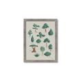 Picture of Trees Chart _GroupedProduct_Rectangle_Portrait_Mini_ _GroupedProduct_Rectangle_Portrait_Framed_Matted_