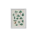Picture of Trees Chart _GroupedProduct_Rectangle_Portrait_Mini_ _GroupedProduct_Rectangle_Portrait_Framed_Matted_