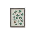Picture of Trees Chart _GroupedProduct_Rectangle_Portrait_Mini_ _GroupedProduct_Rectangle_Portrait_Framed_Matted_