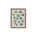Picture of Trees Chart _GroupedProduct_Rectangle_Portrait_Mini_ _GroupedProduct_Rectangle_Portrait_Framed_Matted_