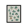 Picture of Trees Chart _GroupedProduct_Rectangle_Portrait_Mini_ _GroupedProduct_Rectangle_Portrait_Framed_Matted_