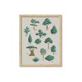 Picture of Trees Chart _GroupedProduct_Rectangle_Portrait_Mini_ _GroupedProduct_Rectangle_Portrait_Framed_Matted_
