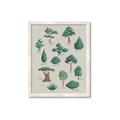 Picture of Trees Chart _GroupedProduct_Rectangle_Portrait_Mini_ _GroupedProduct_Rectangle_Portrait_Framed_Matted_