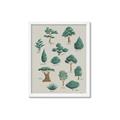 Picture of Trees Chart _GroupedProduct_Rectangle_Portrait_Mini_ _GroupedProduct_Rectangle_Portrait_Framed_Matted_