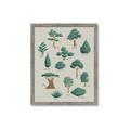 Picture of Trees Chart _GroupedProduct_Rectangle_Portrait_Mini_ _GroupedProduct_Rectangle_Portrait_Framed_Matted_