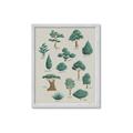 Picture of Trees Chart _GroupedProduct_Rectangle_Portrait_Mini_ _GroupedProduct_Rectangle_Portrait_Framed_Matted_