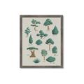 Picture of Trees Chart _GroupedProduct_Rectangle_Portrait_Mini_ _GroupedProduct_Rectangle_Portrait_Framed_Matted_