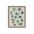 Picture of Trees Chart _GroupedProduct_Rectangle_Portrait_Mini_ _GroupedProduct_Rectangle_Portrait_Framed_Matted_