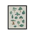 Picture of Trees Chart _GroupedProduct_Rectangle_Portrait_Mini_ _GroupedProduct_Rectangle_Portrait_Framed_Matted_