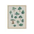 Picture of Trees Chart _GroupedProduct_Rectangle_Portrait_Mini_ _GroupedProduct_Rectangle_Portrait_Framed_Matted_