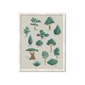 Picture of Trees Chart _GroupedProduct_Rectangle_Portrait_Mini_ _GroupedProduct_Rectangle_Portrait_Framed_Matted_