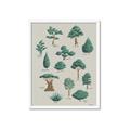Picture of Trees Chart _GroupedProduct_Rectangle_Portrait_Mini_ _GroupedProduct_Rectangle_Portrait_Framed_Matted_