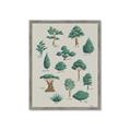 Picture of Trees Chart _GroupedProduct_Rectangle_Portrait_Mini_ _GroupedProduct_Rectangle_Portrait_Framed_Matted_