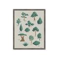 Picture of Trees Chart _GroupedProduct_Rectangle_Portrait_Mini_ _GroupedProduct_Rectangle_Portrait_Framed_Matted_