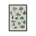 Picture of Trees Chart _GroupedProduct_Rectangle_Portrait_Mini_ _GroupedProduct_Rectangle_Portrait_Framed_Matted_