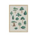 Picture of Trees Chart _GroupedProduct_Rectangle_Portrait_Mini_ _GroupedProduct_Rectangle_Portrait_Framed_Matted_