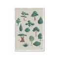Picture of Trees Chart _GroupedProduct_Rectangle_Portrait_Mini_ _GroupedProduct_Rectangle_Portrait_Framed_Matted_