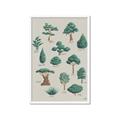 Picture of Trees Chart _GroupedProduct_Rectangle_Portrait_Mini_ _GroupedProduct_Rectangle_Portrait_Framed_Matted_