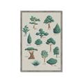Picture of Trees Chart _GroupedProduct_Rectangle_Portrait_Mini_ _GroupedProduct_Rectangle_Portrait_Framed_Matted_