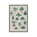 Picture of Trees Chart _GroupedProduct_Rectangle_Portrait_Mini_ _GroupedProduct_Rectangle_Portrait_Framed_Matted_