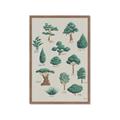 Picture of Trees Chart _GroupedProduct_Rectangle_Portrait_Mini_ _GroupedProduct_Rectangle_Portrait_Framed_Matted_