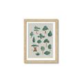 Picture of Trees Chart _GroupedProduct_Rectangle_Portrait_Mini_ _GroupedProduct_Rectangle_Portrait_Framed_Matted_