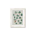 Picture of Trees Chart _GroupedProduct_Rectangle_Portrait_Mini_ _GroupedProduct_Rectangle_Portrait_Framed_Matted_