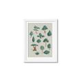 Picture of Trees Chart _GroupedProduct_Rectangle_Portrait_Mini_ _GroupedProduct_Rectangle_Portrait_Framed_Matted_