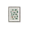 Picture of Trees Chart _GroupedProduct_Rectangle_Portrait_Mini_ _GroupedProduct_Rectangle_Portrait_Framed_Matted_