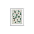 Picture of Trees Chart _GroupedProduct_Rectangle_Portrait_Mini_ _GroupedProduct_Rectangle_Portrait_Framed_Matted_