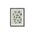Picture of Trees Chart _GroupedProduct_Rectangle_Portrait_Mini_ _GroupedProduct_Rectangle_Portrait_Framed_Matted_